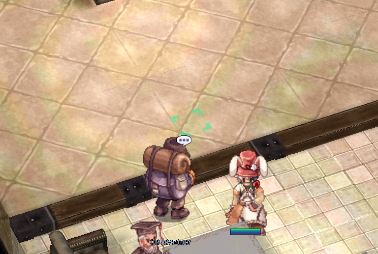 Old Adventurer NPC